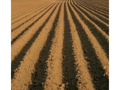 廣西做建設(shè)占用耕地耕作層土壤剝離再利用實(shí)施方案的公司