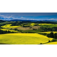 總體規(guī)劃相關(guān)指標(biāo)生態(tài)保護(hù)紅線面積是什么意思？永久基本農(nóng)田保護(hù)面積呢？