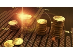 項目投資風險評定（評審）報告的格式和內容