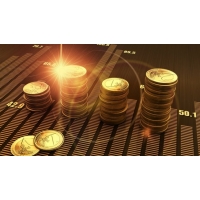 項目投資風險評定（評審）報告的格式和內(nèi)容