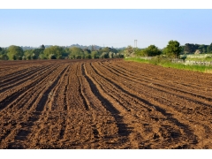 專業編寫湖南節約用地報告 （長期有效）