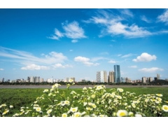 湖南環境監測工程檢測方案項目合作