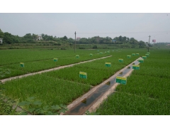 什么叫做全域綜合整治？湖南土地咨詢單位