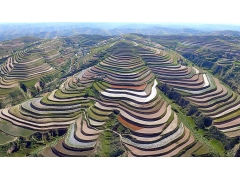 市政道路排水及附屬設施工程水保報告資料清單_廣東水保報告編制公司