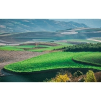 “十四五”水土保持目標(biāo)主要指標(biāo)值_代編廣東水保方案