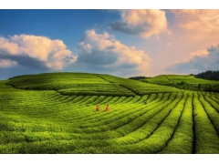 “十四五”各省水土保持率目標_代編廣東水保監測