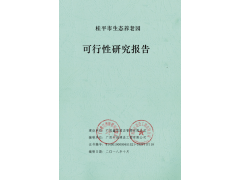 簡單來講，可行性研究報告是什么？哪個部門審批？廣西可行性研究報告工程師